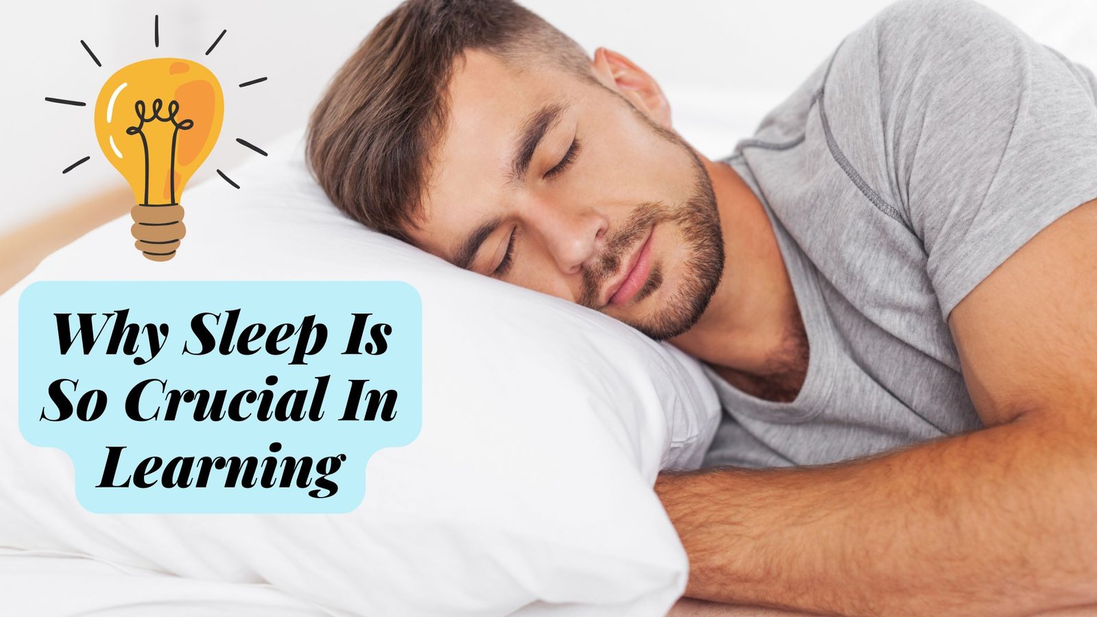 Why Sleep Is So Crucial In Learning